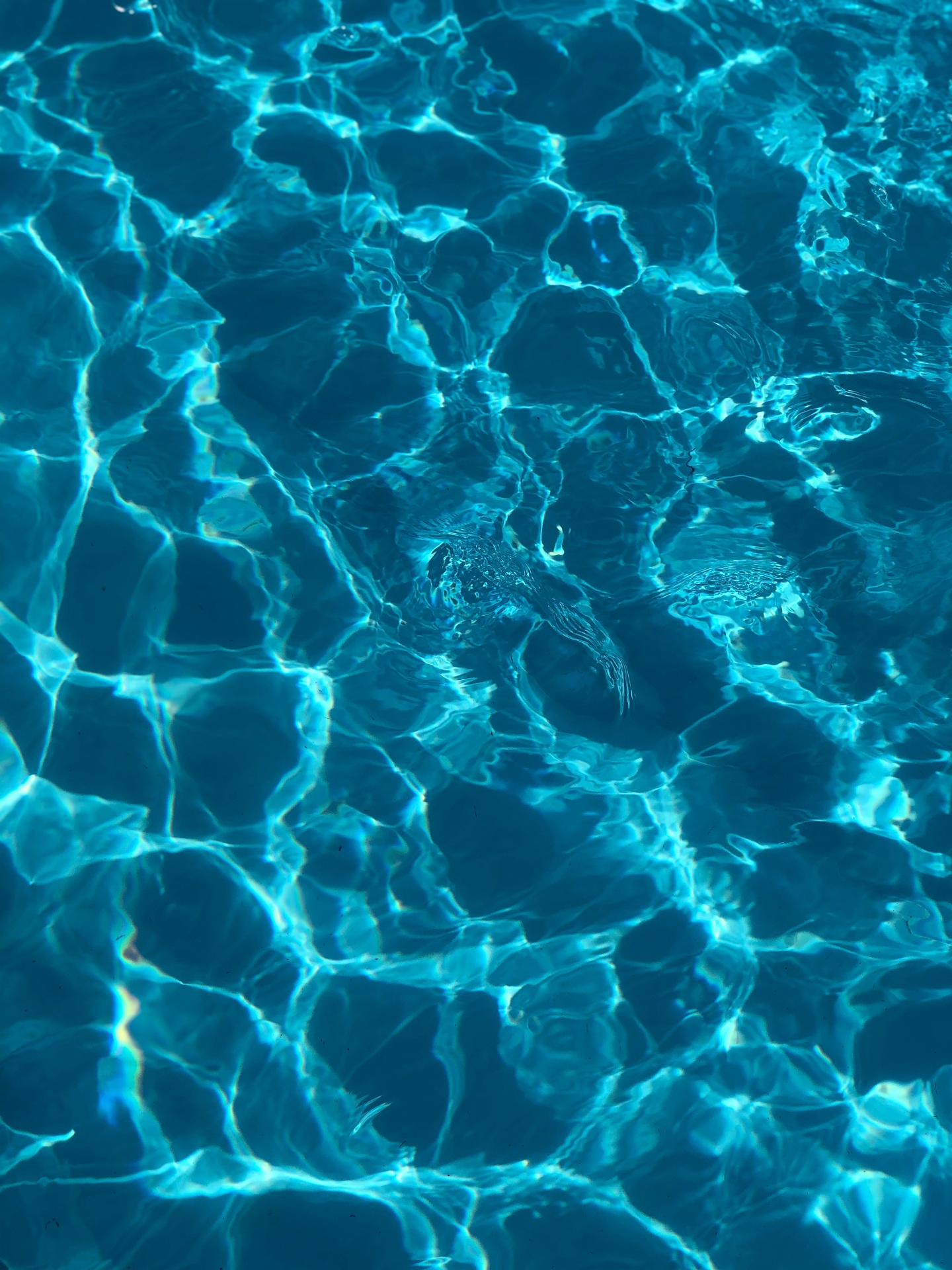 Sunlit ripples on blue pool water